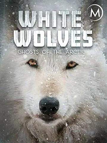 Белые волки: Призраки Арктики / White Wolves: Ghosts of the Arctic (2017) фильм смотреть онлайн Белые волки: Призраки Арктики / White Wolves: Ghosts of the Arctic (2017) фильм смотреть онлайн в хорошем качестве