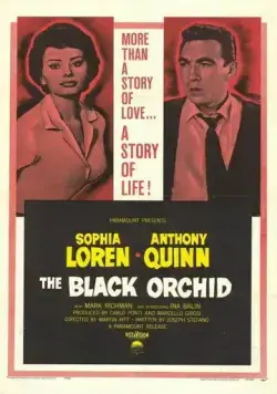 Черная орхидея / The Black Orchid (1958) фильм смотреть онлайн Черная орхидея / The Black Orchid (1958) фильм смотреть онлайн в хорошем качестве
