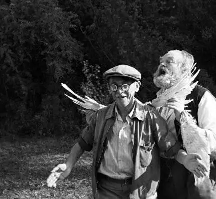 Праздник в ботаническом саду (1969) в хорошем качестве смотреть онлайн Праздник в ботаническом саду (1969) фильм в хорошем качестве смотреть онлайн