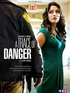 Следы опасности / A Trace of Danger (2010) фильм смотреть онлайн в хорошем качестве