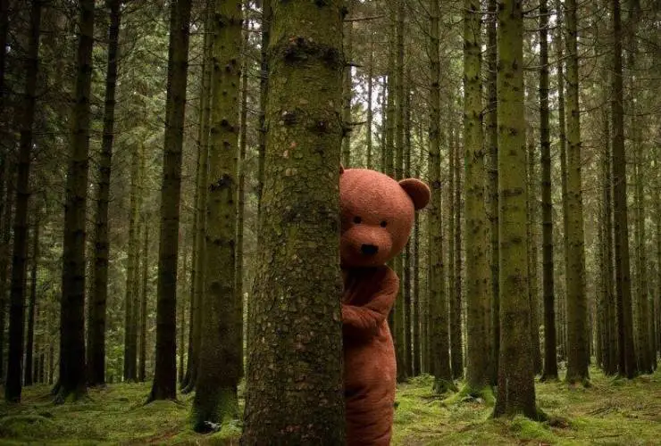 Чёрный медведь (2015) смотреть онлайн бесплатно Чёрный медведь (2015) фильм смотреть онлайн бесплатно