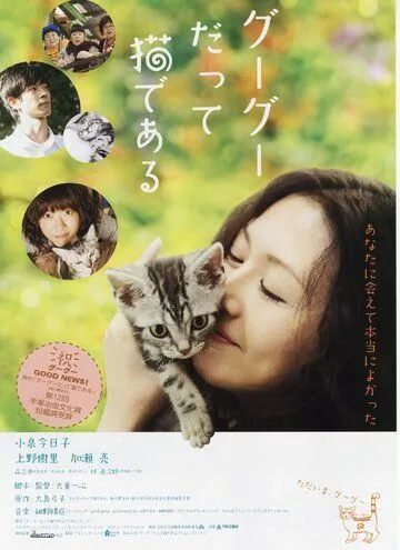 Кот по имени Гу-Гу / Gou-Gou datte neko de aru (2008) фильм смотреть онлайн в хорошем качестве