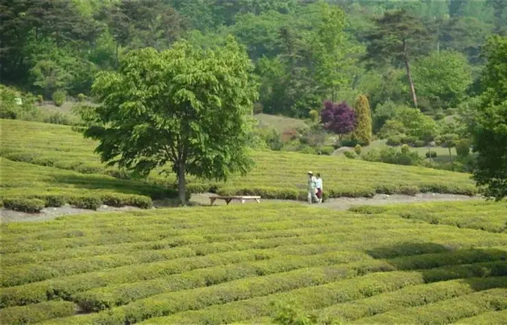 Лена (2016) в хорошем качестве смотреть онлайн Лена (2016) фильм в хорошем качестве смотреть онлайн