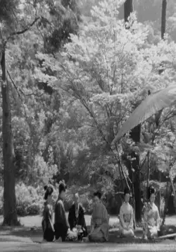 Госпожа Ою (1951) смотреть онлайн бесплатно Госпожа Ою (1951) фильм смотреть онлайн бесплатно