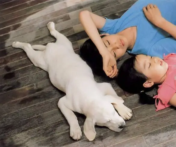 Искренние лапы (2006) смотреть онлайн Искренние лапы (2006) фильм смотреть онлайн