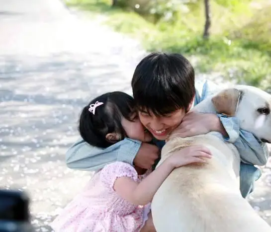 Искренние лапы (2006) в хорошем качестве смотреть онлайн Искренние лапы (2006) фильм в хорошем качестве смотреть онлайн