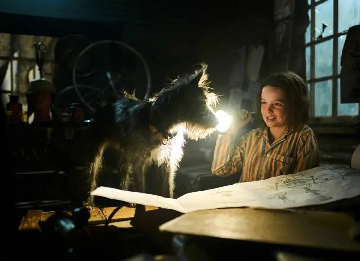 Мой любимый двортерьер (2024) смотреть онлайн Мой любимый двортерьер (2024) фильм смотреть онлайн