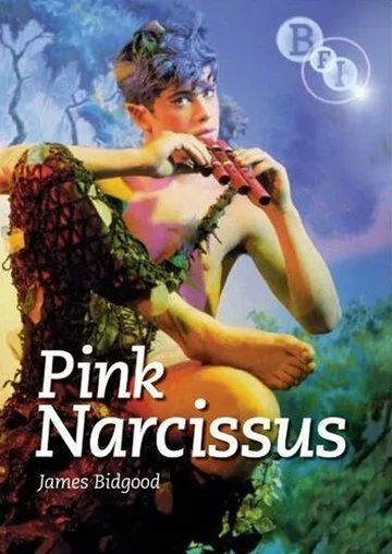 Розовый нарцисс / Pink Narcissus (1971) фильм смотреть онлайн в хорошем качестве
