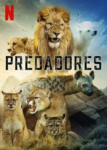 Хищники / Predators (2022) cериал смотреть онлайн Хищники / Predators (2022) cериал смотреть онлайн в хорошем качестве