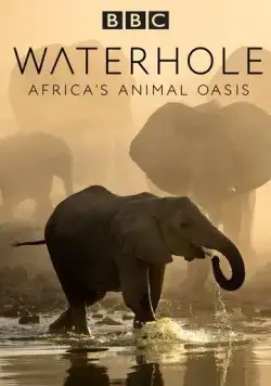 Водопой: Африканский оазис для животных / Waterhole: Africa's Animal Oasis (2020) cериал смотреть онлайн Водопой: Африканский оазис для животных / Waterhole: Africa's Animal Oasis (2020) cериал смотреть онлайн в хорошем качестве