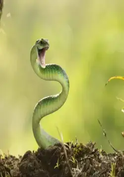 Гонка жизни (2015) в хорошем качестве смотреть онлайн Гонка жизни (2015) сериал в хорошем качестве смотреть онлайн