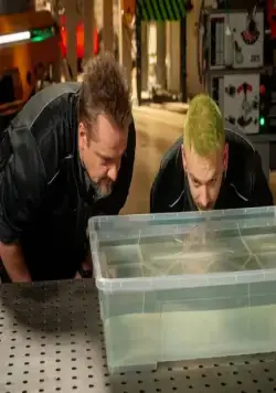 Эксперименты (2021) в хорошем качестве смотреть онлайн Эксперименты (2021) сериал в хорошем качестве смотреть онлайн