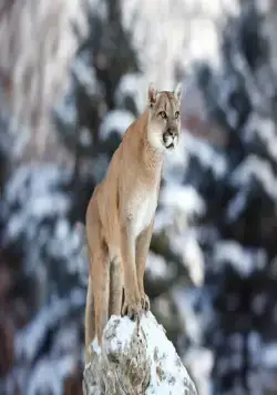 Гонка жизни (2015) смотреть онлайн Гонка жизни (2015) сериал смотреть онлайн