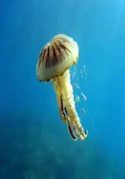 Гонка жизни (2015) смотреть онлайн бесплатно Гонка жизни (2015) сериал смотреть онлайн бесплатно