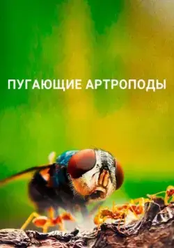 Пугающие артроподы / Creepy Crawlies (2020) cериал смотреть онлайн Пугающие артроподы / Creepy Crawlies (2020) cериал смотреть онлайн в хорошем качестве