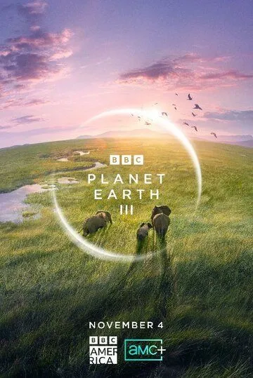 BBC: Планета Земля III / Planet Earth III (2023) cериал смотреть онлайн BBC: Планета Земля III / Planet Earth III (2023) cериал смотреть онлайн в хорошем качестве