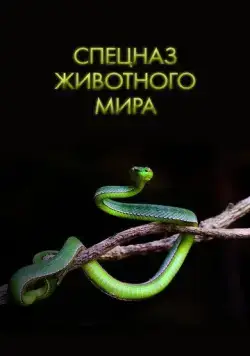 Спецназ животного мира / Animal Special Forces (2018) cериал смотреть онлайн Спецназ животного мира / Animal Special Forces (2018) cериал смотреть онлайн в хорошем качестве