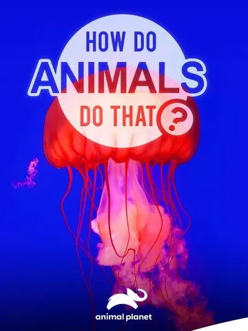 Удивительный мир животных / How do Animals do That (2019) фильм смотреть онлайн Удивительный мир животных / How do Animals do That (2019) фильм смотреть онлайн в хорошем качестве