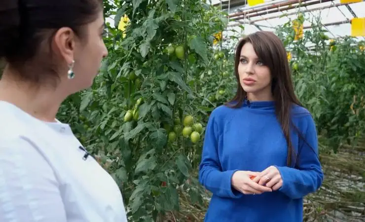 За едой (2022) 1 сезон 1-8,9,10 серия в хорошем качестве смотреть онлайн За едой (2022) сериал 1-8,9,10 серию 1 сезона в хорошем качестве смотреть онлайн