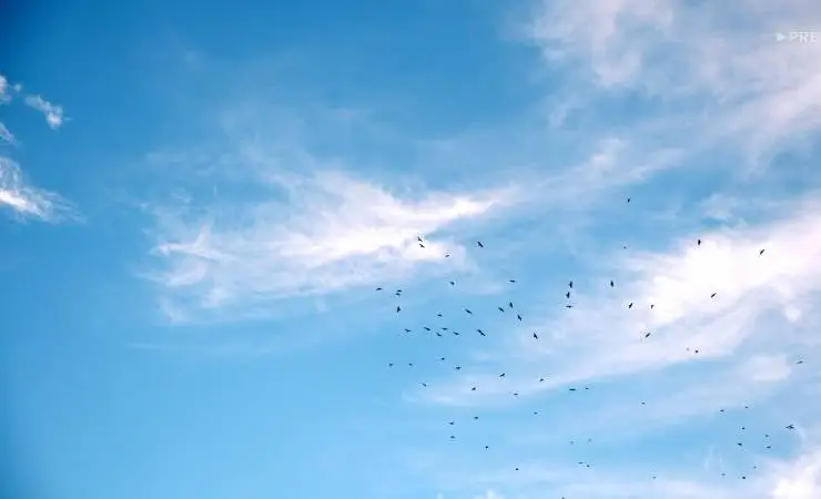 За едой (2022) 1 сезон 1-8,9,10 серия смотреть онлайн бесплатно За едой (2022) сериал 1-8,9,10 серию 1 сезона смотреть онлайн бесплатно