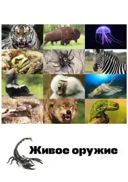 Живое оружие / Animal Armory (2016) cериал смотреть онлайн Живое оружие / Animal Armory (2016) cериал смотреть онлайн в хорошем качестве