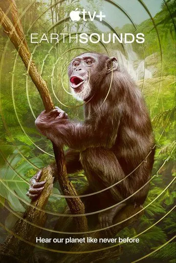 Звуки Земли / Earthsounds (2024) cериал смотреть онлайн Звуки Земли / Earthsounds (2024) cериал смотреть онлайн в хорошем качестве