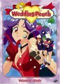 Свадебный персик / Wedding Peach (1995) мультфильм смотреть онлайн Свадебный персик / Wedding Peach (1995) мультфильм смотреть онлайн в хорошем качестве