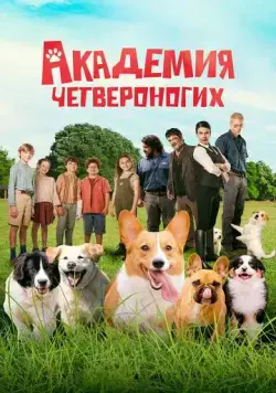 Академия четвероногих / Gli addestratori (2024) фильм смотреть онлайн Академия четвероногих / Gli addestratori (2024) фильм смотреть онлайн в хорошем качестве