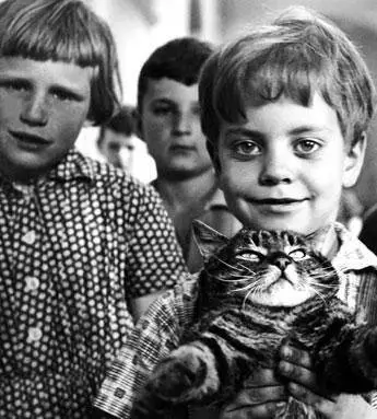 Вот придет кот (1963) смотреть онлайн бесплатно Вот придет кот (1963) фильм смотреть онлайн бесплатно