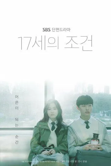 Условия 17-летних / 17seui jogeon (2019) cериал смотреть онлайн Условия 17-летних / 17seui jogeon (2019) cериал смотреть онлайн в хорошем качестве