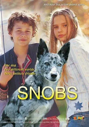 Собака по имени Снобз / Snobs (2003) cериал смотреть онлайн Собака по имени Снобз / Snobs (2003) cериал смотреть онлайн в хорошем качестве