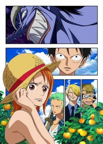 Ван-Пис: Эпизод Нами: Слёзы навигатора и узы дружбы / One Piece: Episode of Nami - Koukaishi no Namida to Nakama no Kizuna (2012) мультфильм смотреть онлайн в хорошем качестве