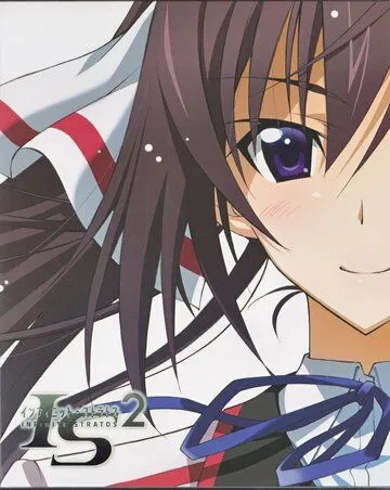 Бесконечные небеса 2: Воспоминания о лете / IS: Infinite Stratos 2 - Hitonatsu no Omoide (2013) мультфильм смотреть онлайн в хорошем качестве