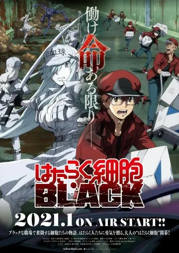 Клетки за работой! Тёмная сторона / Hataraku Saibou Black (2021) мультфильм смотреть онлайн Клетки за работой! Тёмная сторона / Hataraku Saibou Black (2021) мультфильм смотреть онлайн в хорошем качестве