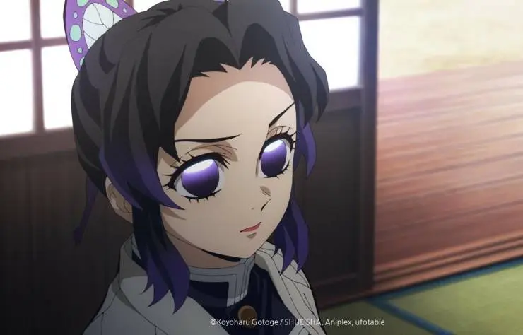 Истребитель демонов: На тренировку столпов (2024) смотреть онлайн Истребитель демонов: На тренировку столпов (2024) мультфильм смотреть онлайн