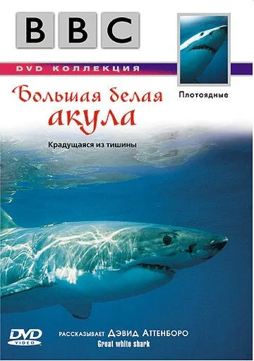Смотреть BBC: Большая белая акула / Great White Shark(1995) фильм в онлайне бесплатно