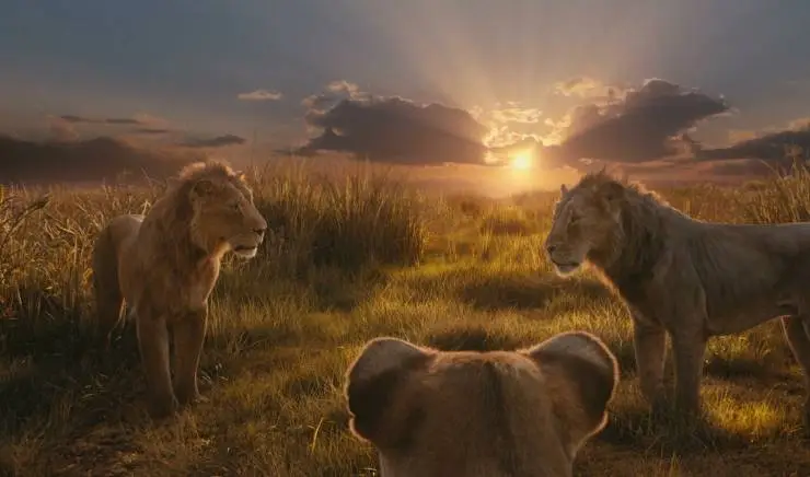 Муфаса: Король Лев (2024) смотреть онлайн бесплатно Муфаса: Король Лев (2024) мультфильм смотреть онлайн бесплатно