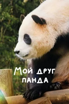 Мой друг панда / Annyeong, halbuji (2024) фильм смотреть онлайн Мой друг панда / Annyeong, halbuji (2024) фильм смотреть онлайн в хорошем качестве