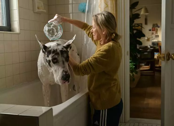 Верный друг (2024) смотреть онлайн бесплатно Верный друг (2024) фильм смотреть онлайн бесплатно