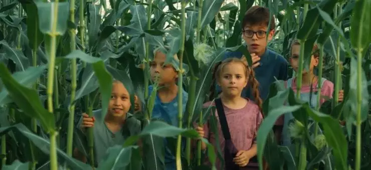 Поле чудес (2025) в хорошем качестве смотреть онлайн Поле чудес (2025) фильм в хорошем качестве смотреть онлайн