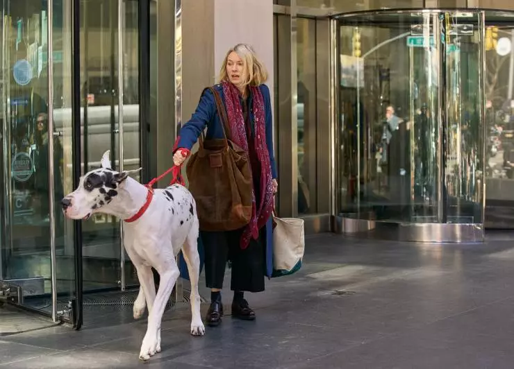 Верный друг (2024) смотреть онлайн Верный друг (2024) фильм смотреть онлайн