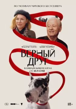 Верный друг / The Friend (2024) фильм смотреть онлайн Верный друг / The Friend (2024) фильм смотреть онлайн в хорошем качестве