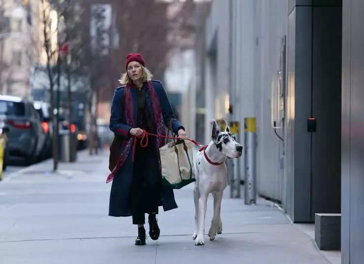 Верный друг (2024) в хорошем качестве смотреть онлайн Верный друг (2024) фильм в хорошем качестве смотреть онлайн