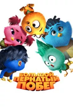 Большой пернатый побег / Out of the Nest (2024) мультфильм смотреть онлайн Большой пернатый побег / Out of the Nest (2024) мультфильм смотреть онлайн в хорошем качестве