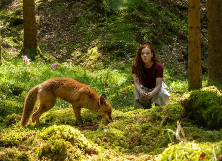 Магия четырёх стихий (2025) смотреть онлайн Магия четырёх стихий (2025) фильм смотреть онлайн