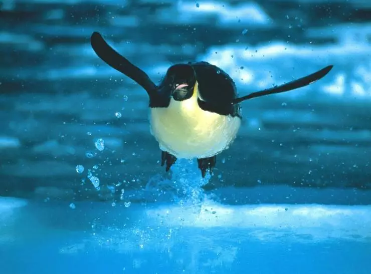 Глубина (2003) смотреть онлайн бесплатно Глубина (2003) фильм смотреть онлайн бесплатно