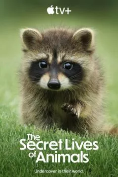Тайная жизнь животных / The Secret Lives of Animals (2024) cериал смотреть онлайн Тайная жизнь животных / The Secret Lives of Animals (2024) cериал смотреть онлайн в хорошем качестве