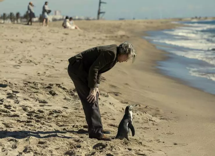 Школа мистера Пингвина (2024) смотреть онлайн Школа мистера Пингвина (2024) фильм смотреть онлайн