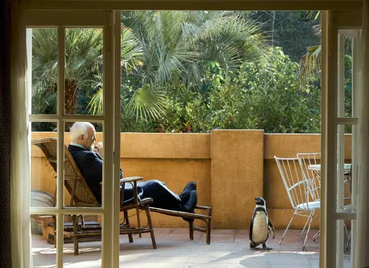 Школа мистера Пингвина (2024) в хорошем качестве смотреть онлайн Школа мистера Пингвина (2024) фильм в хорошем качестве смотреть онлайн