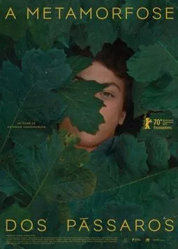 A Metamorfose dos Pássaros (2020) фильм смотреть онлайн в хорошем качестве